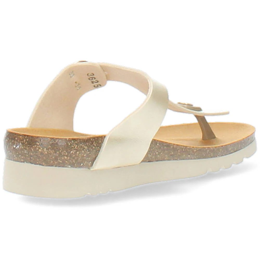 gouden slipper - Image 5