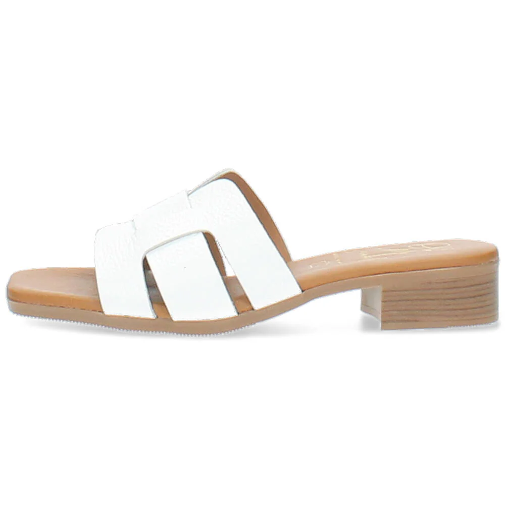 witte muil - Image 4